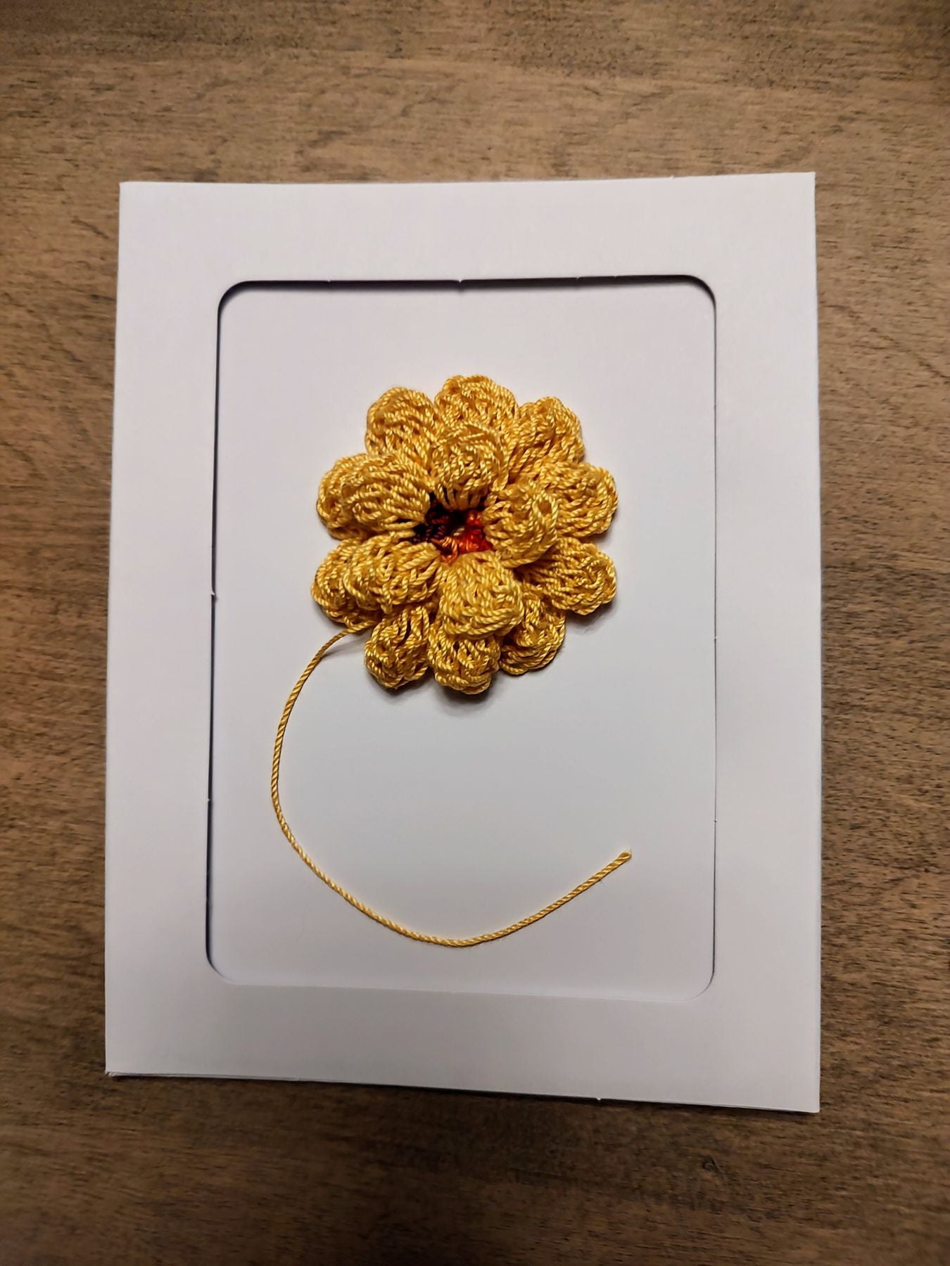 Yellow Dahlia